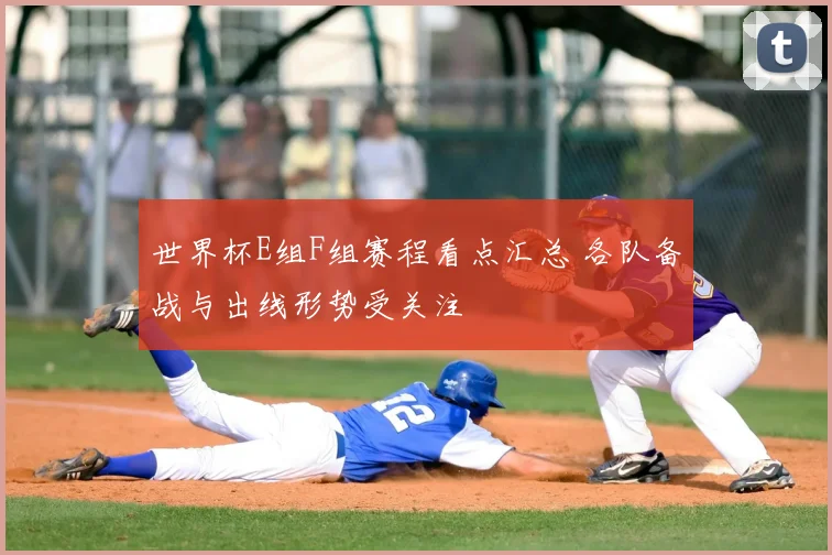 世界杯E组F组赛程看点汇总 各队备战与出线形势受关注